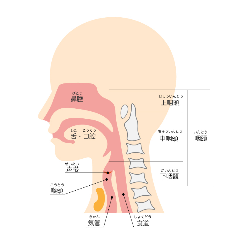 声が嗄れる